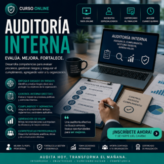 Curso de Auditoría Interna